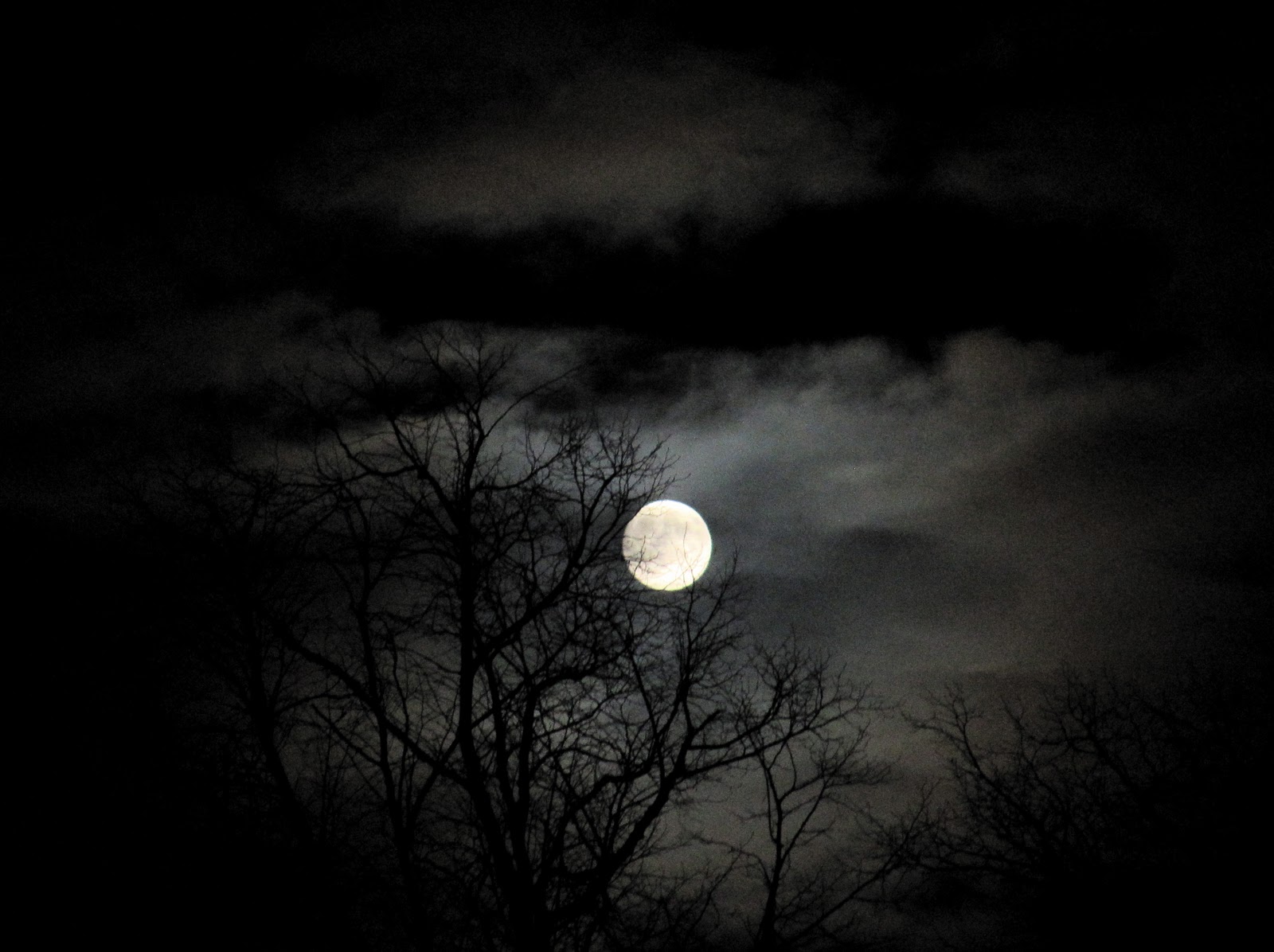 Spooky Night Sky