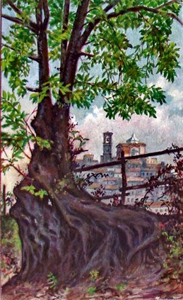 M.Barboni acquarello 1