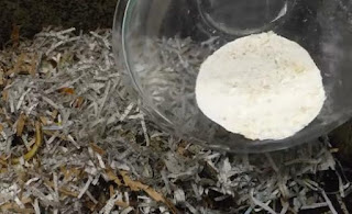 eggshell fertilizer