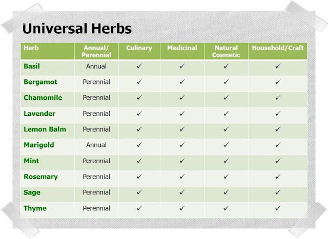 10 Universal Herbs