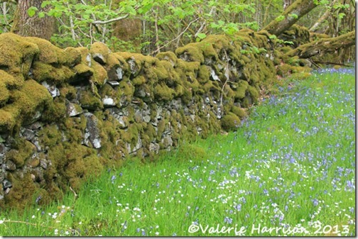 32-old-wall