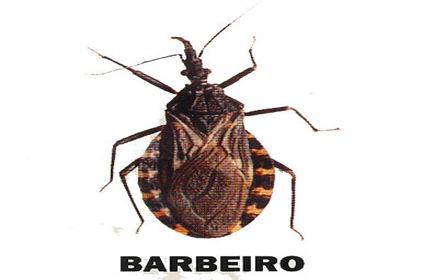 barbeiro