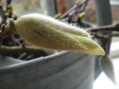 P3230010