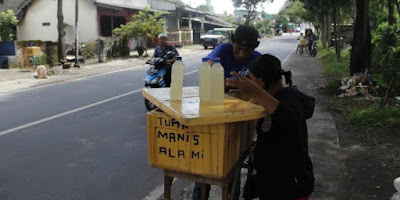 Tuak Manis Lombok