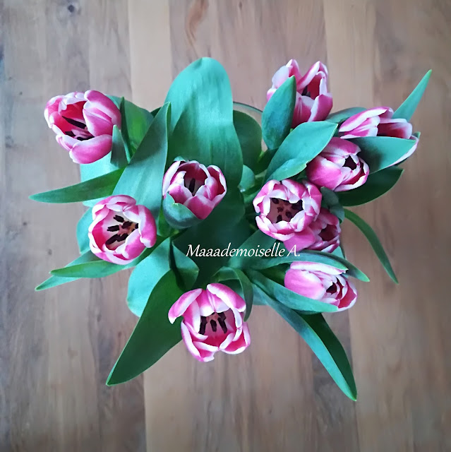 Tulipes roses