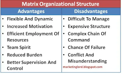 advantage-disadvantage-matrix-organization