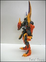 IMG_6202
