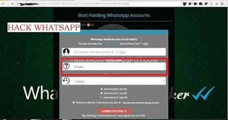Software hack WhatsApp via Online