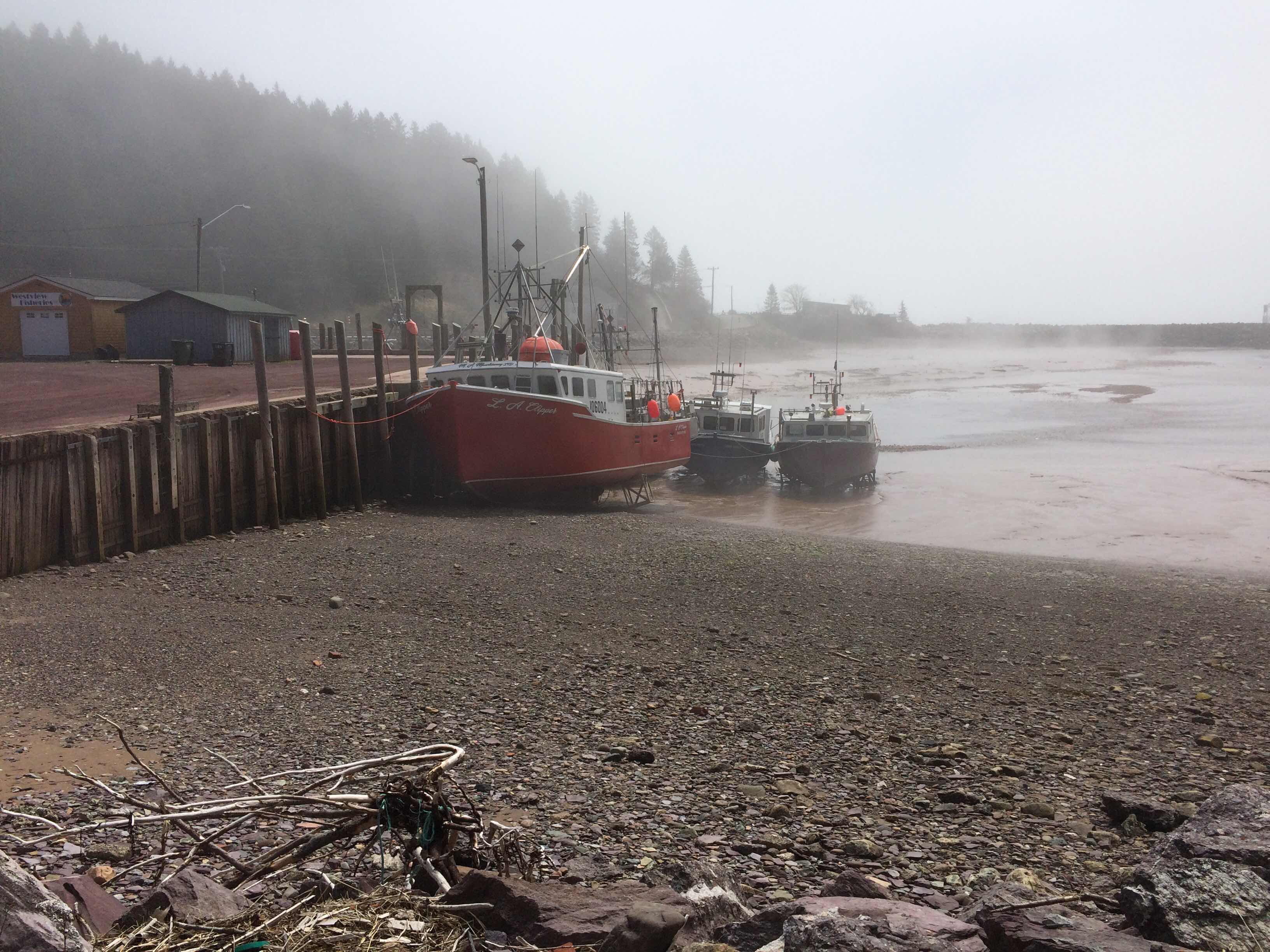 Fundy Shore