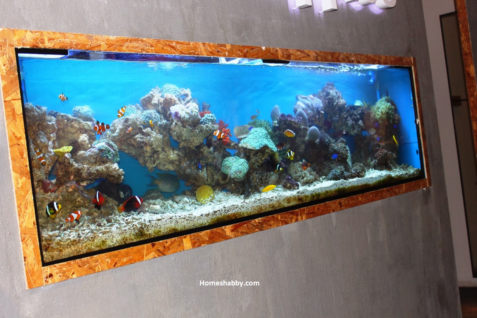 Tips dan Inspirasi Aquarium  Dinding  Minimalis  yang Unik 