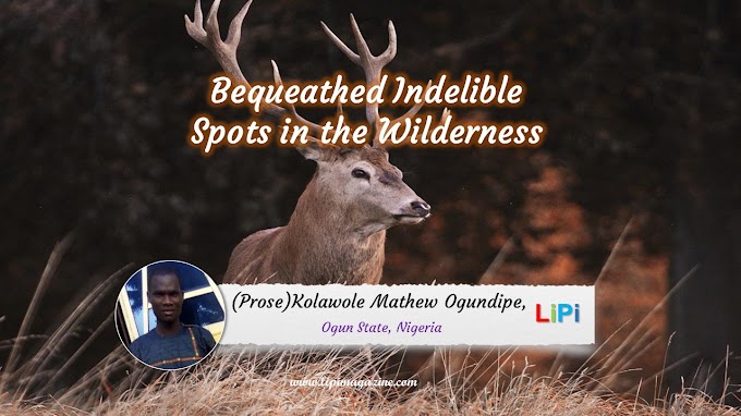 Bequeathed Indelible Spots in the Wilderness by Kolawole Mathew Ogundipe