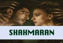Ver Telenovela Shahmaran capitulo 02 online