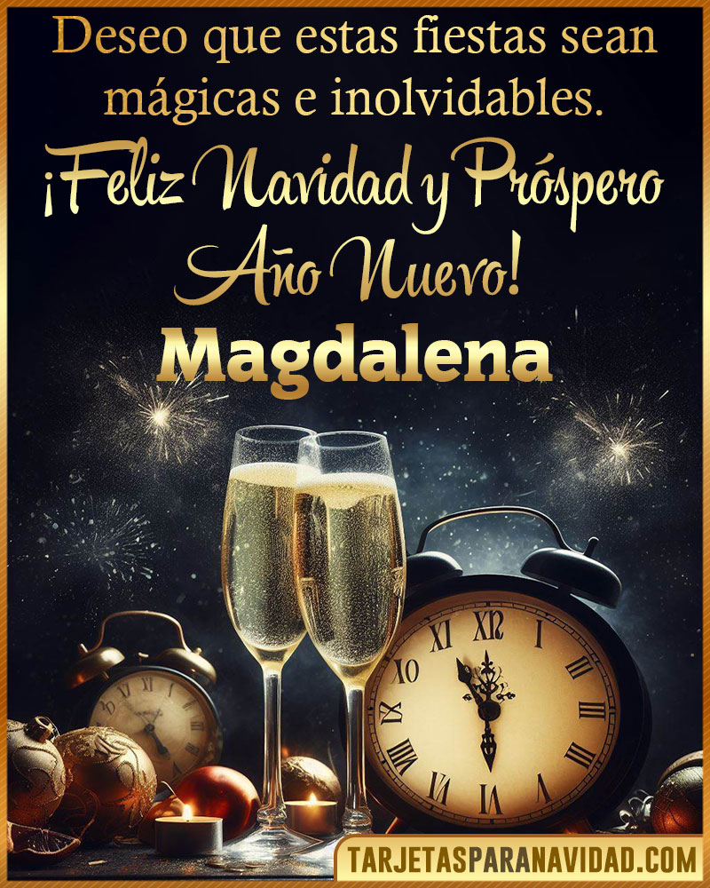 Feliz Navidad y Próspero Año Nuevo Magdalena