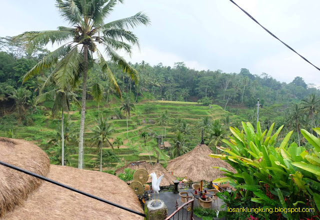 Tegalalang rice terrace 27 November 2018