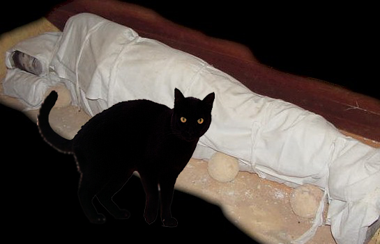 Cerita mistis seram: Bila Kucing Hitam Melangkahi Mayat 