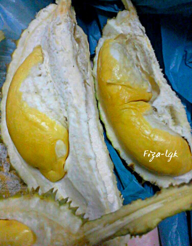 PULUT DURIAN  Fiza's Cooking