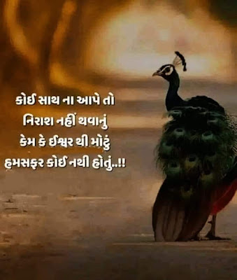 https://www.kdgujju.com