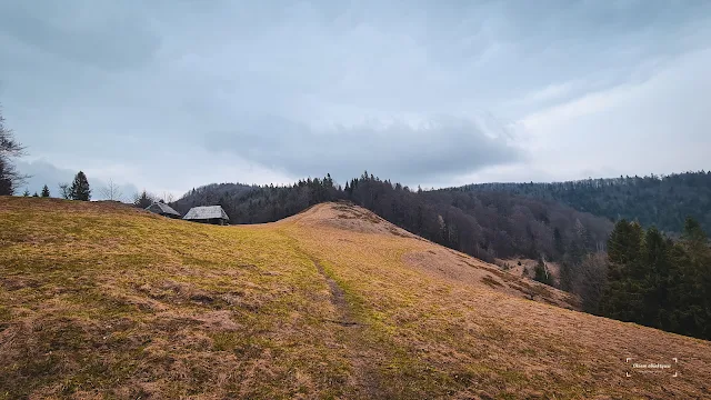 Piwniczna-Zdrój - Schronisko na Hali Łabowskiej. Beskid Sądecki