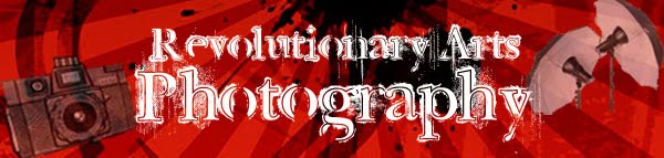 Revolutionary Arts