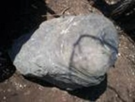 clip_image008