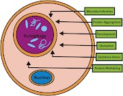 Crohn's Disease and Stress