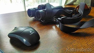 3-13-14 I'm ready to bird and blog