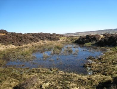 Pond in quarry