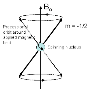 PRECESSIONAL MOVEMENT OF ATOM IN EXTERNAL FIELD