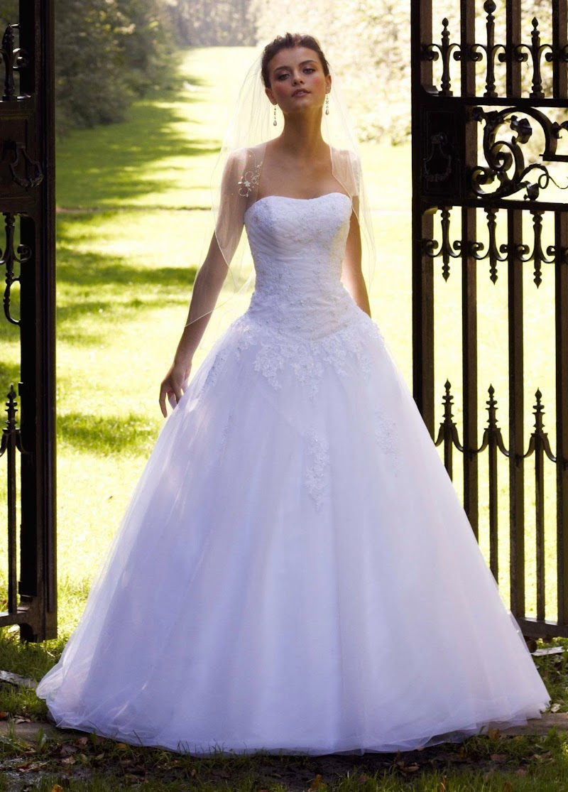 17+ Wedding Dress David Bridal