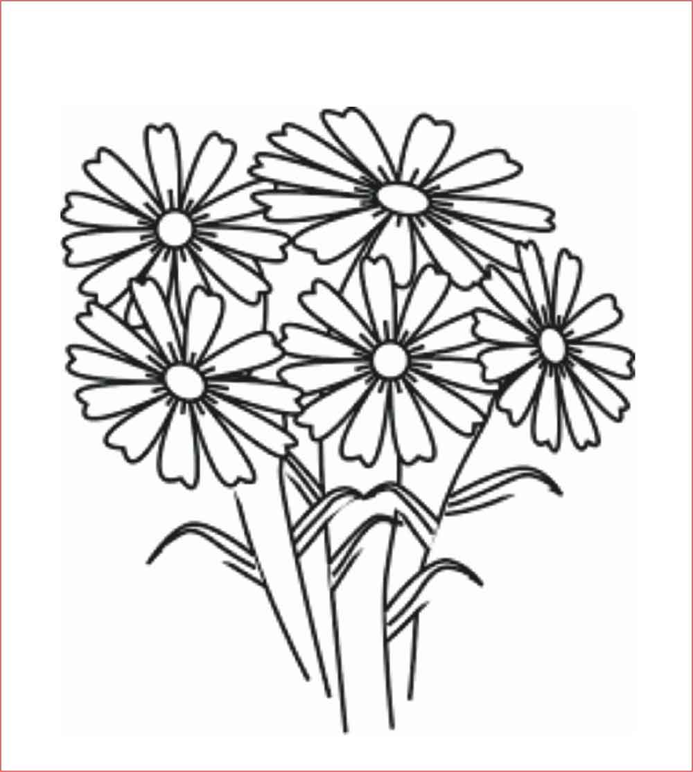 30+ Gambar Sketsa Bunga Mudah | Bunga Matahari, Mawar ...