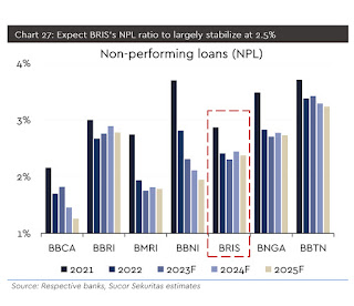 Data NPL