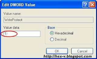 Cara Menghapus Write Protection Pada Removeable Disk 