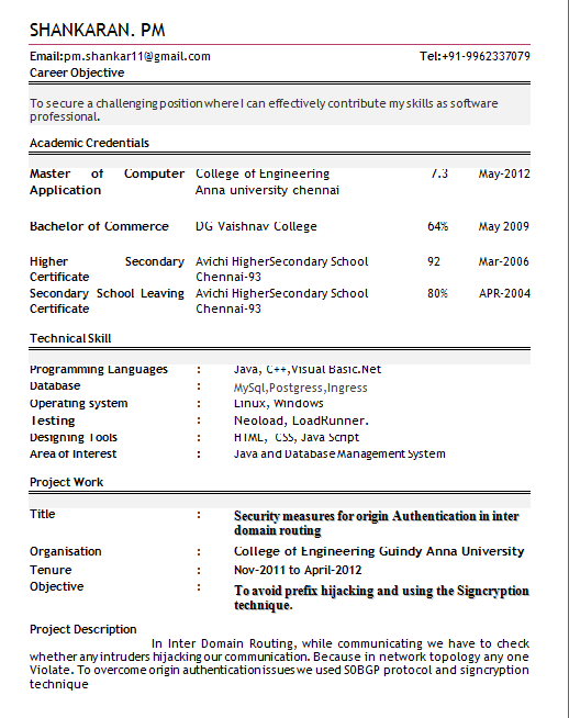 Professional Resume Format for Freshers