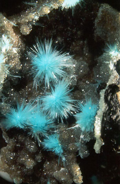 Auricalcita-Aurichalcite