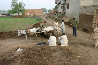 Beauty of Village Life