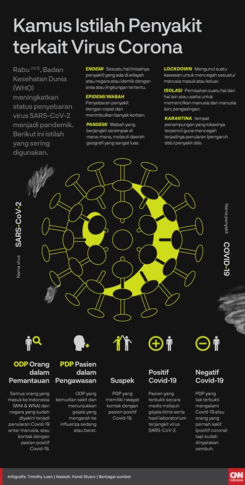 Coronavirus Outbreak, Istilah Corona, Wabah Corona, Virus Corona, irfan-room.com