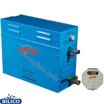 Máy xông hơi ướt Steam Heirva GT50 Máy xông hơi ướt Steam Heirva GT50
