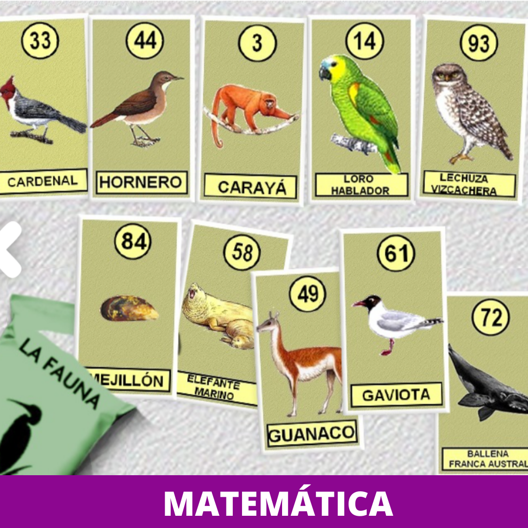 Juegos interactivos matemática