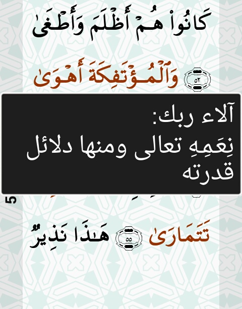 اجابة معنى الاء ربك