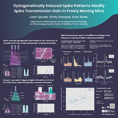 Poster titled, "Optogenetically induced spike patterns modify spike transmission gain in freely moving mice"