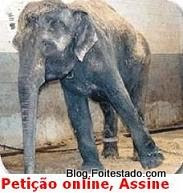 Assine, petição online, circo legal sem animal