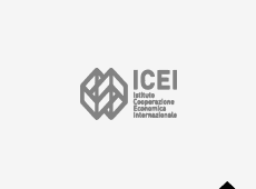 ICEI – Instituto de Cooperação Económica Internacional