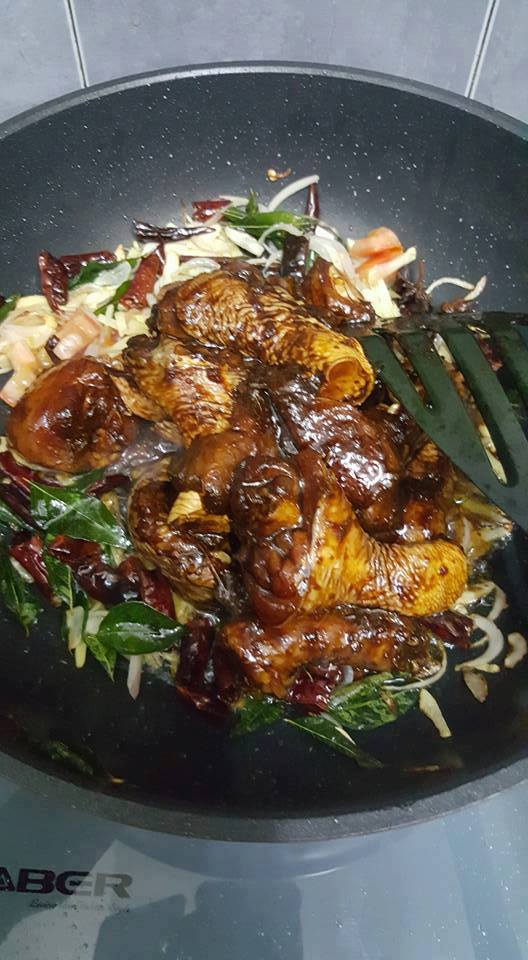 Resepi ayam masak kicap pedas yang viral di FB memang sedap