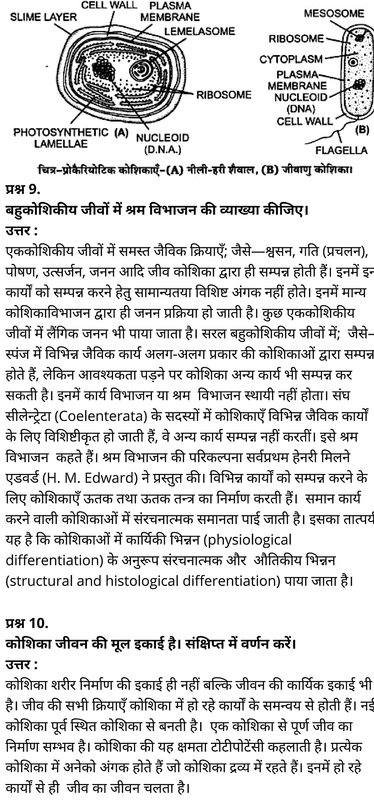 कक्षा 11 जीव विज्ञान अध्याय 8 के नोट्स हिंदी में एनसीईआरटी समाधान,   class 11 Biology Chapter 8,  class 11 Biology Chapter 8 ncert solutions in hindi,  class 11 Biology Chapter 8 notes in hindi,  class 11 Biology Chapter 8 question answer,  class 11 Biology Chapter 8 notes,  11   class Biology Chapter 8 in hindi,  class 11 Biology Chapter 8 in hindi,  class 11 Biology Chapter 8 important questions in hindi,  class 11 Biology notes in hindi,  class 11 Biology Chapter 8 test,  class 11 BiologyChapter 8 pdf,  class 11 Biology Chapter 8 notes pdf,  class 11 Biology Chapter 8 exercise solutions,  class 11 Biology Chapter 8, class 11 Biology Chapter 8 notes study rankers,  class 11 Biology Chapter 8 notes,  class 11 Biology notes,   Biology  class 11  notes pdf,  Biology class 11  notes 2021 ncert,  Biology class 11 pdf,  Biology  book,  Biology quiz class 11  ,   11  th Biology    book up board,  up board 11  th Biology notes,  कक्षा 11 जीव विज्ञान अध्याय 8, कक्षा 11 जीव विज्ञान का अध्याय 8 ncert solution in hindi, कक्षा 11 जीव विज्ञान  के अध्याय 8 के नोट्स हिंदी में, कक्षा 11 का जीव विज्ञान अध्याय 8 का प्रश्न उत्तर, कक्षा 11 जीव विज्ञान अध्याय 8 के नोट्स, 11 कक्षा जीव विज्ञान अध्याय 8 हिंदी में,कक्षा 11 जीव विज्ञान  अध्याय 8 हिंदी में, कक्षा 11 जीव विज्ञान  अध्याय 8 महत्वपूर्ण प्रश्न हिंदी में,कक्षा 11 के जीव विज्ञानके नोट्स हिंदी में,जीव विज्ञान  कक्षा 11 नोट्स pdf,