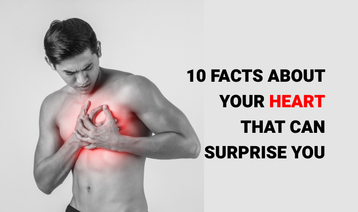 10 Lesser Known Facts About Your Heart That can Surprise You