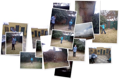 View album