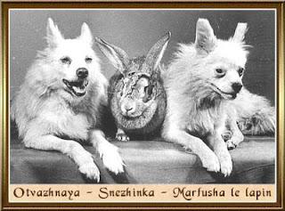 Otvazhnaya, Snezhinka dan Marfusha 