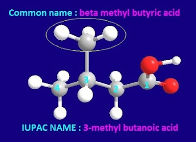                                                                IUPAC name and structural formula of beta methyl butyric acid  