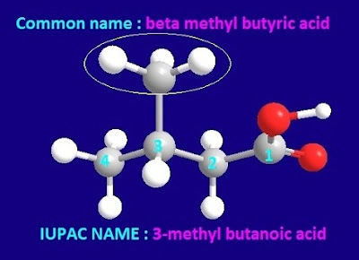 IUPAC name and structural formula of beta methyl butyric acid