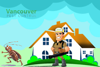 pest control vancouver